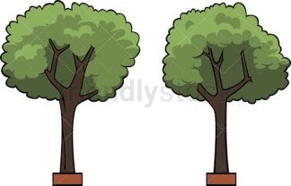 Trees in pots. PNG - JPG and vector EPS file formats (infinitely scalable). Image isolated on transparent background.