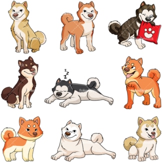 Akita dogs. PNG - JPG and vector EPS file formats (infinitely scalable). Image isolated on transparent background.