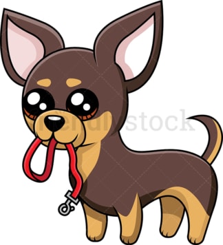 Chihuahua holding leash in its mouth. PNG - JPG and vector EPS (infinitely scalable).