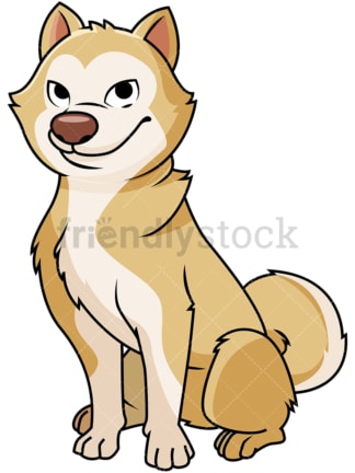 Cute akita dog. PNG - JPG and vector EPS file formats (infinitely scalable). Image isolated on transparent background.