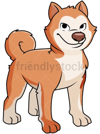 Adorable akita dog. PNG - JPG and vector EPS file formats (infinitely scalable). Image isolated on transparent background.