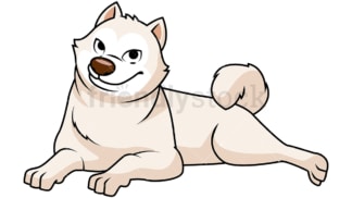 White akita dog lying down. PNG - JPG and vector EPS file formats (infinitely scalable). Image isolated on transparent background.
