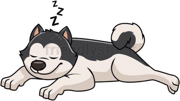 Pinto akita dog sleeping. PNG - JPG and vector EPS file formats (infinitely scalable). Image isolated on transparent background.