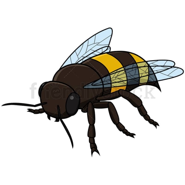 Realistic Bee Back View Vector Cartoon Clipart - FriendlyStock