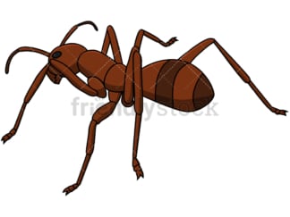 Ant back view. PNG - JPG and vector EPS file formats (infinitely scalable). Image isolated on transparent background.