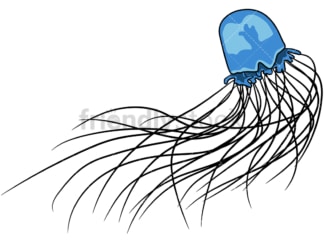 Box jellyfish. PNG - JPG and vector EPS file formats (infinitely scalable). Image isolated on transparent background.