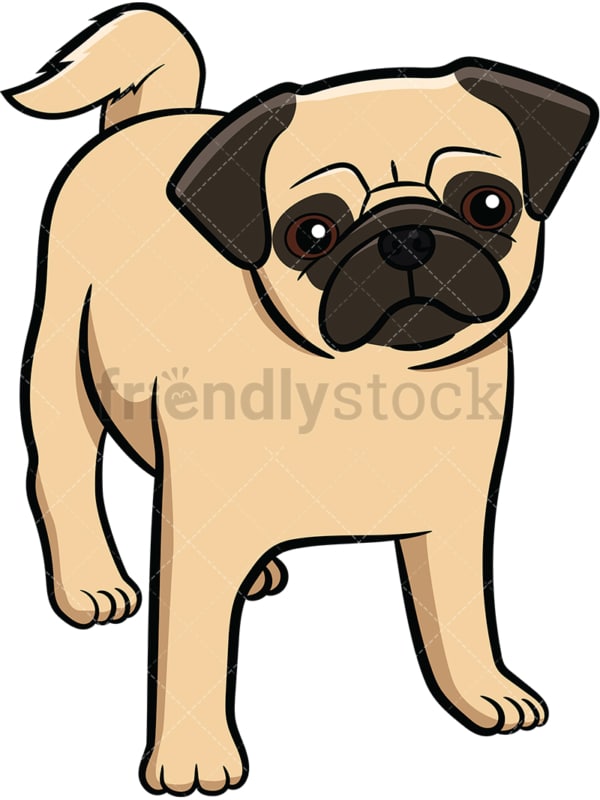 Apricot pug dog puppy. PNG - JPG and vector EPS file formats (infinitely scalable). Image isolated on transparent background.