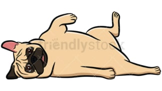 Apricot pug dog rolling on floor. PNG - JPG and vector EPS file formats (infinitely scalable). Image isolated on transparent background.