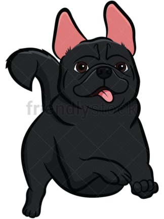 Black pug dog running. PNG - JPG and vector EPS file formats (infinitely scalable). Image isolated on transparent background.