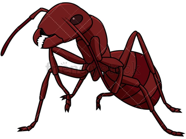 النمل الأحمر، عن قرب، رسم كاريكتوري، سهم التوجيه Clipart 
