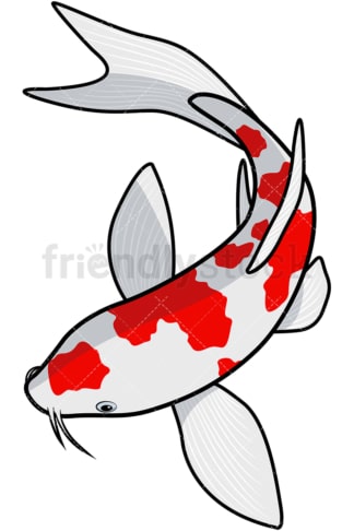 Koi fish. PNG - JPG and vector EPS file formats (infinitely scalable). Image isolated on transparent background.