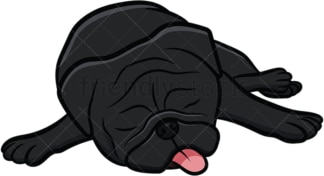 Black pug dog sleeping. PNG - JPG and vector EPS file formats (infinitely scalable). Image isolated on transparent background.