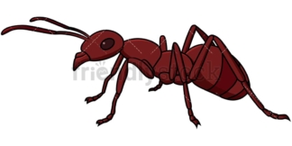 Red ant side view. PNG - JPG and vector EPS file formats (infinitely scalable). Image isolated on transparent background.