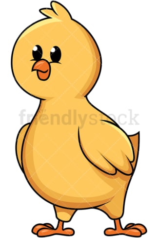 Cute little chicken. PNG - JPG and vector EPS file formats (infinitely scalable). Image isolated on transparent background.