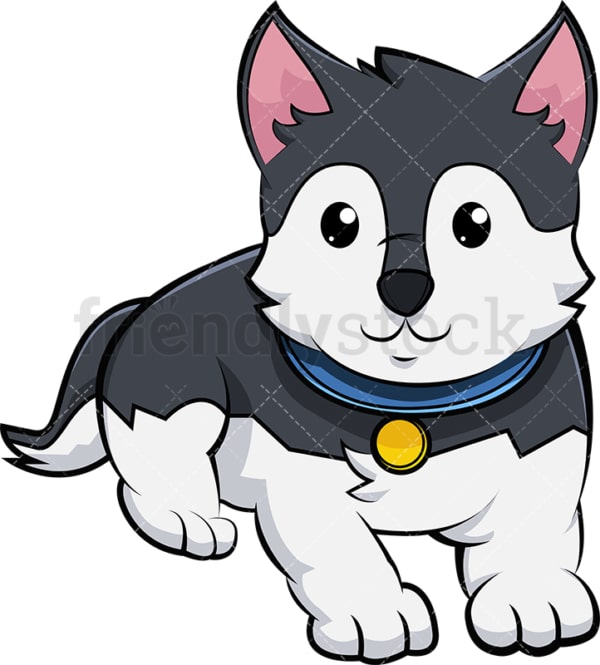 Adorable husky puppy. PNG - JPG and vector EPS (infinitely scalable). Image isolated on transparent background.