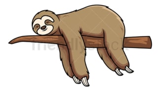 Sloth sleeping on tree branch. PNG - JPG and vector EPS (infinitely scalable). Image isolated on transparent background.