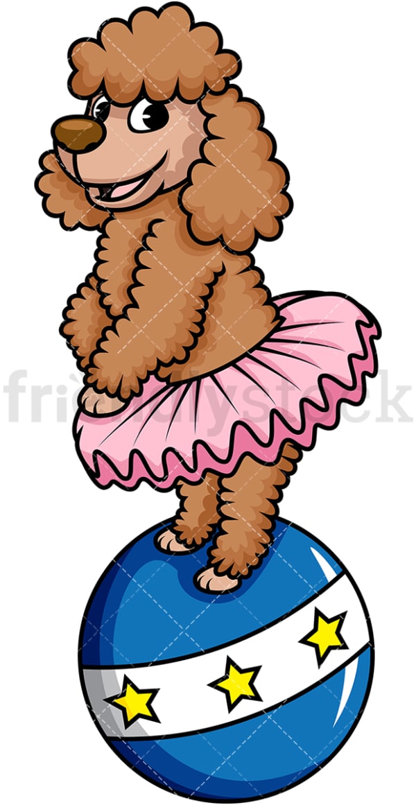 Circus dog ballerina on ball. PNG - JPG and vector EPS (infinitely scalable). Image isolated on transparent background.