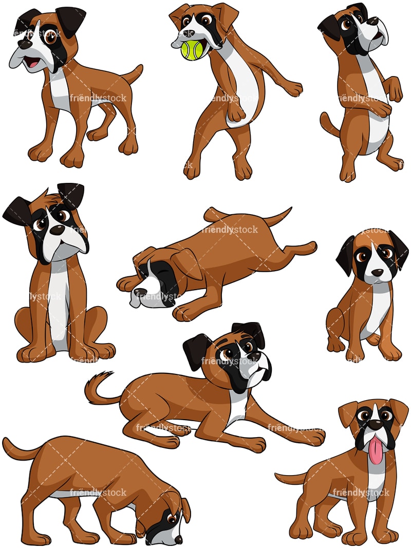 Boxer Dog Cartoon Vector Clipart FriendlyStock