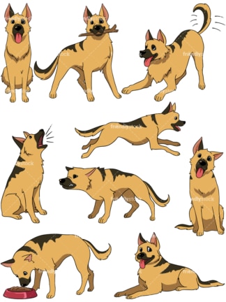 German shepherd. PNG - JPG and vector EPS file formats (infinitely scalable). Image isolated on transparent background.