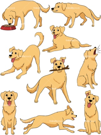 Golden retriever. PNG - JPG and vector EPS file formats (infinitely scalable). Image isolated on transparent background.