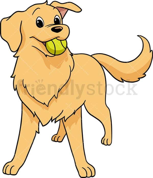 Playful golden retriever. PNG - JPG and vector EPS (infinitely scalable). Image isolated on transparent background.