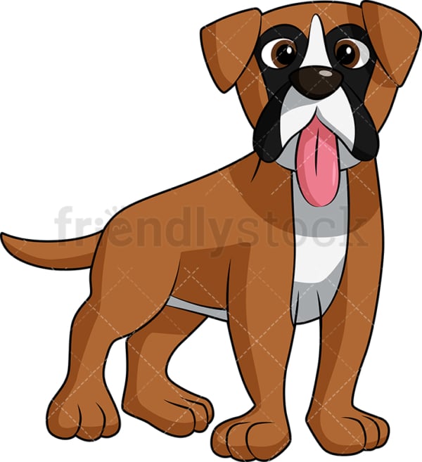Boxer dog tongue out. PNG - JPG and vector EPS (infinitely scalable). Image isolated on transparent background.