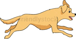 Frisky golden retriever dog. PNG - JPG and vector EPS (infinitely scalable).
