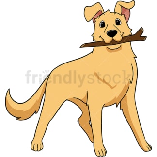 Golden retriever dog lying on the floor. PNG - JPG and vector EPS (infinitely scalable).