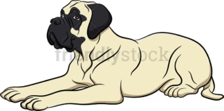 Fawn bullmastiff dog lying down. PNG - JPG and vector EPS (infinitely scalable). Image isolated on transparent background.