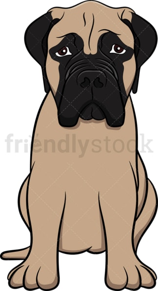 Attentive bullmastiff dog. PNG - JPG and vector EPS (infinitely scalable). Image isolated on transparent background.