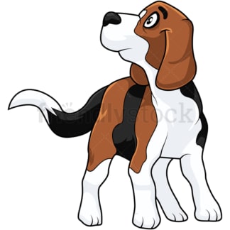 Cute beagle dog looking up. PNG - JPG and vector EPS (infinitely scalable).