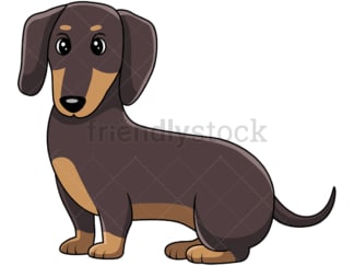 Cute dachshund sausage dog on all fours. PNG - JPG and vector EPS (infinitely scalable).