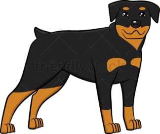 Alerted rottweiler standing. PNG - JPG and vector EPS (infinitely scalable).