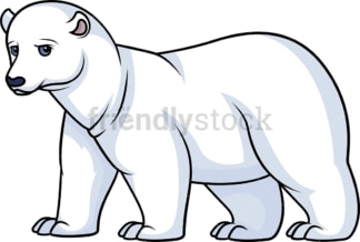 Wild polar bear. PNG - JPG and vector EPS (infinitely scalable).
