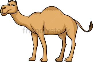 Cute camel. PNG - JPG and vector EPS (infinitely scalable).
