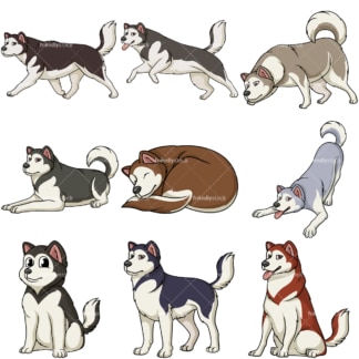 Alaskan malamute dogs. PNG - JPG and vector EPS file formats (infinitely scalable).