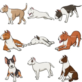 Bull terrier dogs. PNG - JPG and vector EPS file formats (infinitely scalable).