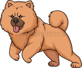 Chow Chow running. PNG - JPG and vector EPS (infinitely scalable).