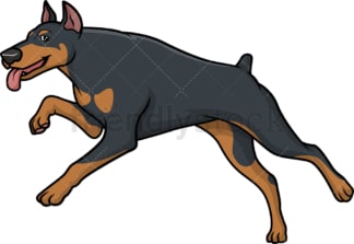 Running doberman. PNG - JPG and vector EPS (infinitely scalable).