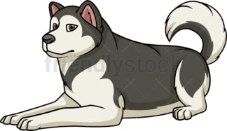 Alaskan malamute lying down. PNG - JPG and vector EPS (infinitely scalable).
