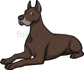 Great dane lying down. PNG - JPG and vector EPS (infinitely scalable).