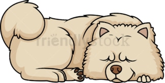 Chow Chow sleeping. PNG - JPG and vector EPS (infinitely scalable).
