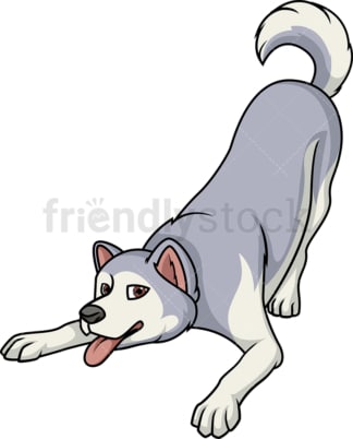 Playful alaskan malamute. PNG - JPG and vector EPS (infinitely scalable).
