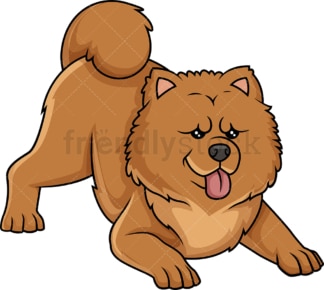 Playful chow chow. PNG - JPG and vector EPS (infinitely scalable).