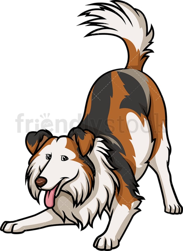 Playful tri-sable merle collie. PNG - JPG and vector EPS (infinitely scalable).