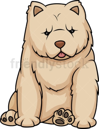 Cute chow chow puppy. PNG - JPG and vector EPS (infinitely scalable).
