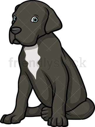 Cute great dane puppy. PNG - JPG and vector EPS (infinitely scalable).