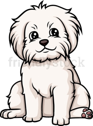 Cute maltese puppy. PNG - JPG and vector EPS (infinitely scalable).