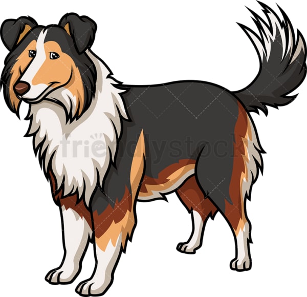 Cheerful collie. PNG - JPG and vector EPS (infinitely scalable).