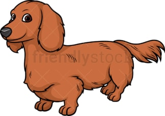 Cheerful dachshund. PNG - JPG and vector EPS (infinitely scalable).